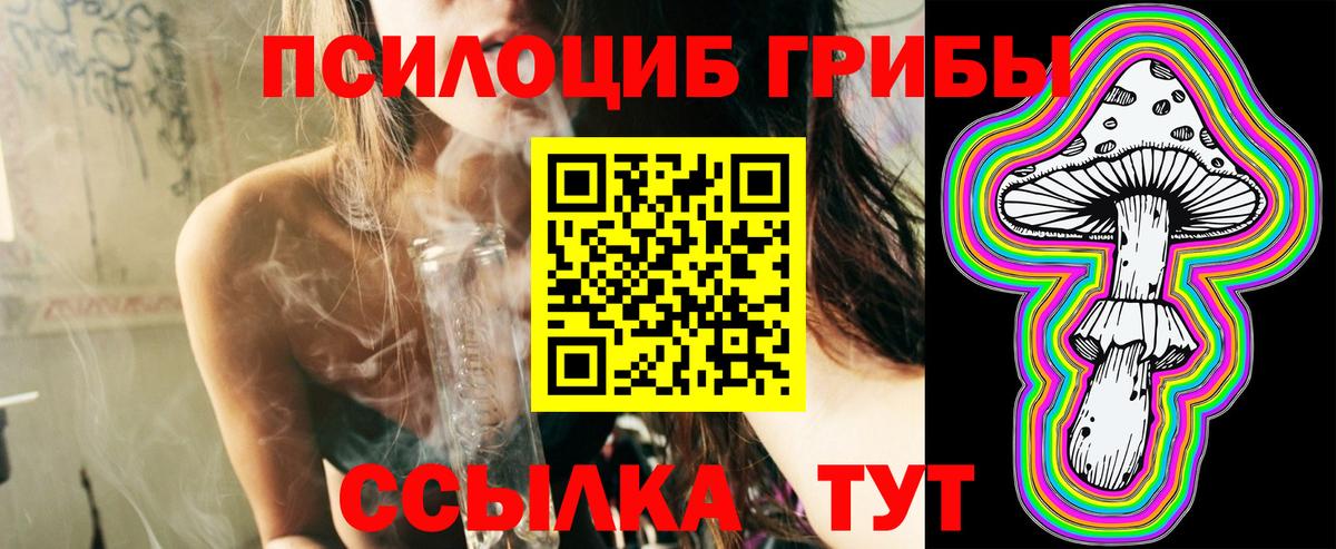 Георгиевск  Псилоцибиновые грибы мухоморы  Вход с VPN 